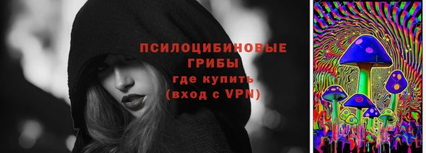 PSILOCYBIN Балахна
