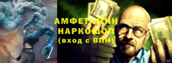 шишки Белокуриха