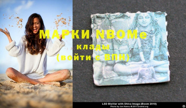 шишки Белокуриха