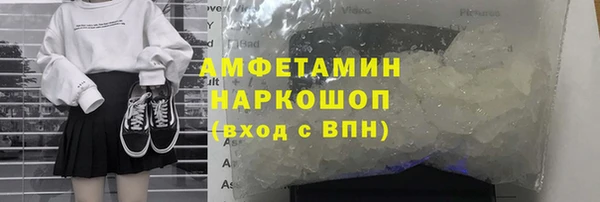 шишки Белокуриха