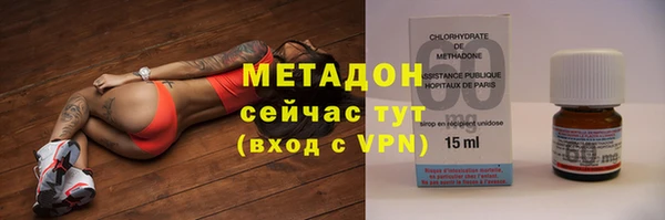 шишки Белокуриха