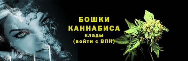 шишки Белокуриха