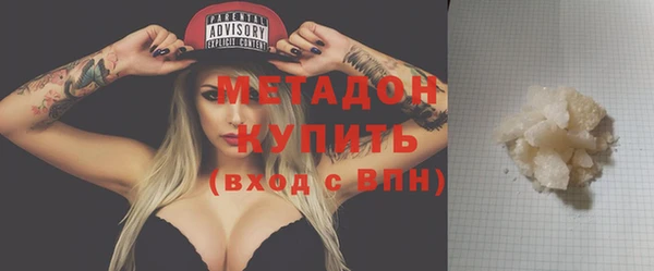 шишки Белокуриха