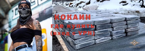 шишки Белокуриха
