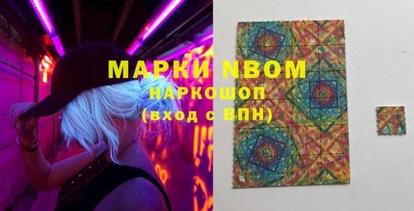 шишки Белокуриха