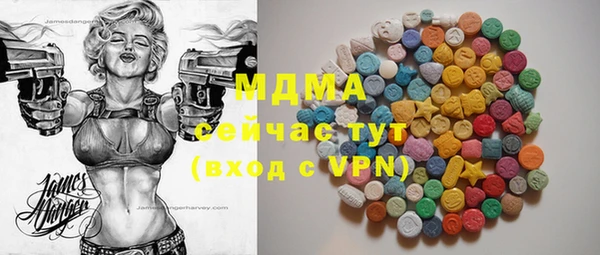 шишки Белокуриха
