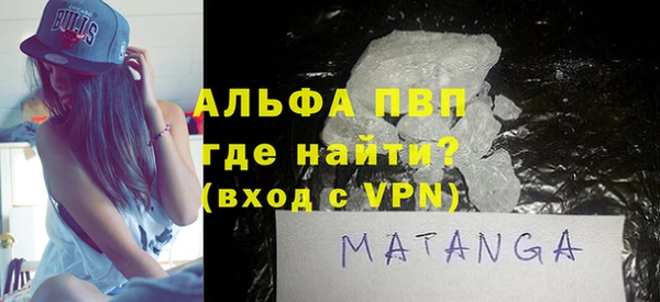 шишки Белокуриха